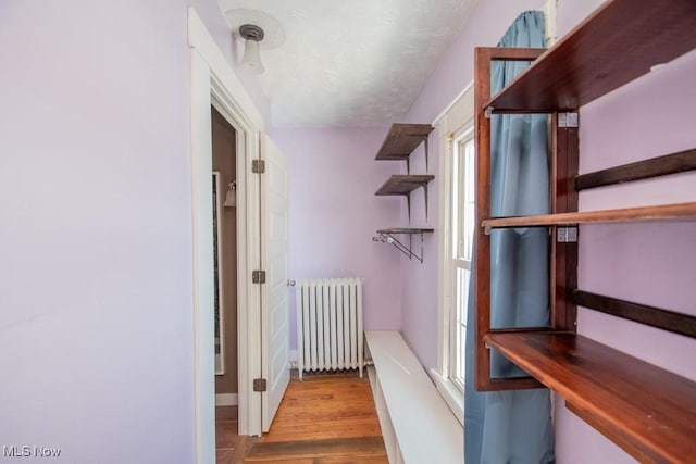 interior space with light hardwood / wood-style floors and radiator