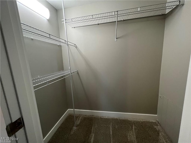 spacious closet with carpet flooring