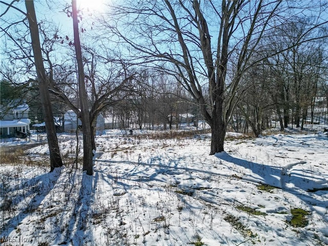 view of yard covered in snow