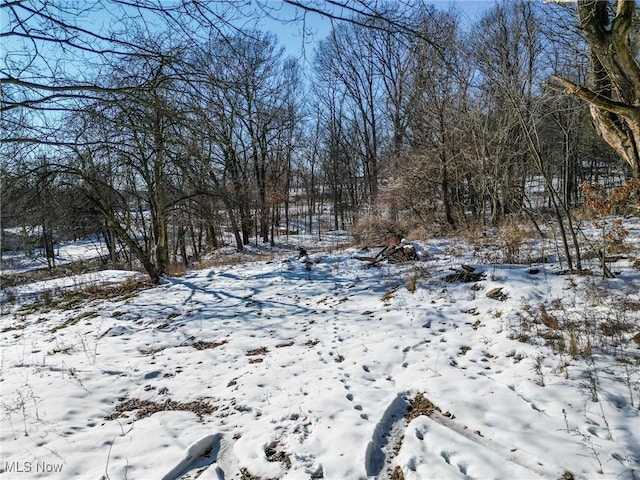 view of snowy yard