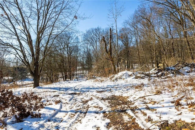 view of snowy landscape