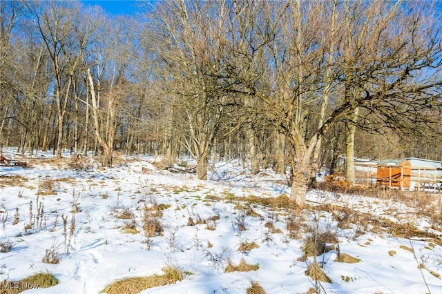 view of snowy landscape