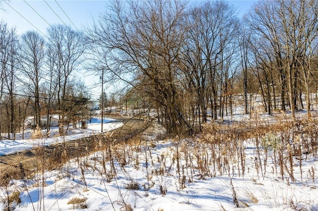 view of yard covered in snow