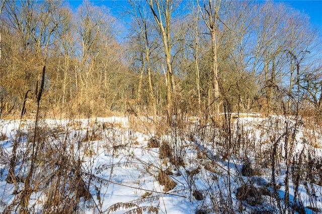 view of snowy landscape