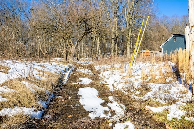 view of yard layered in snow