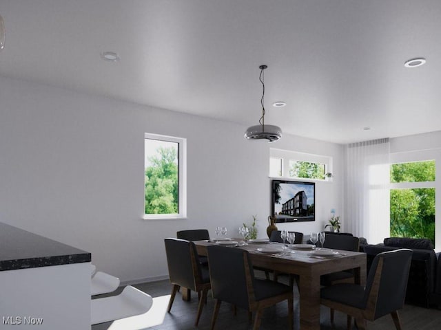 dining space with wood-type flooring