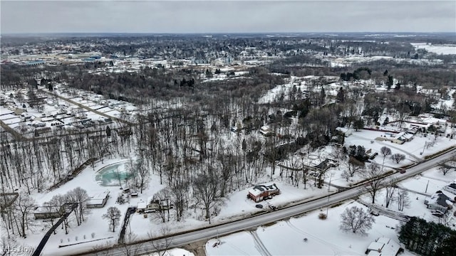 view of snowy aerial view