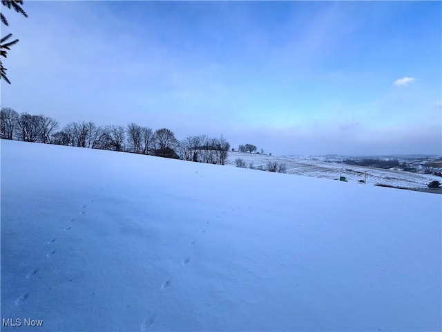 view of yard covered in snow