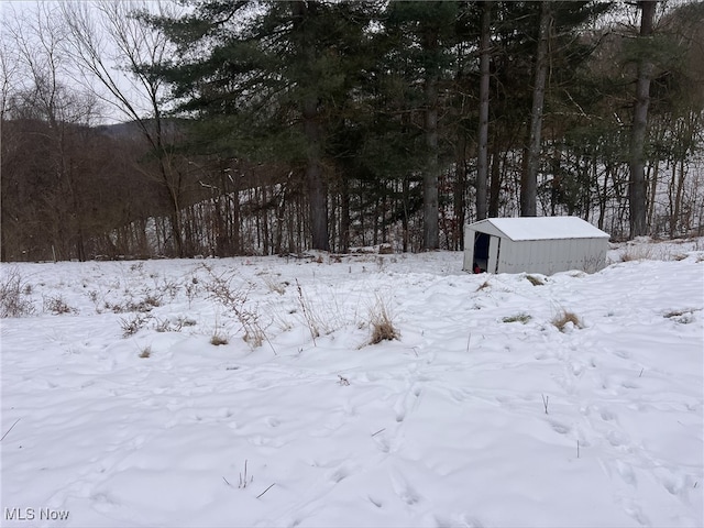 view of yard covered in snow