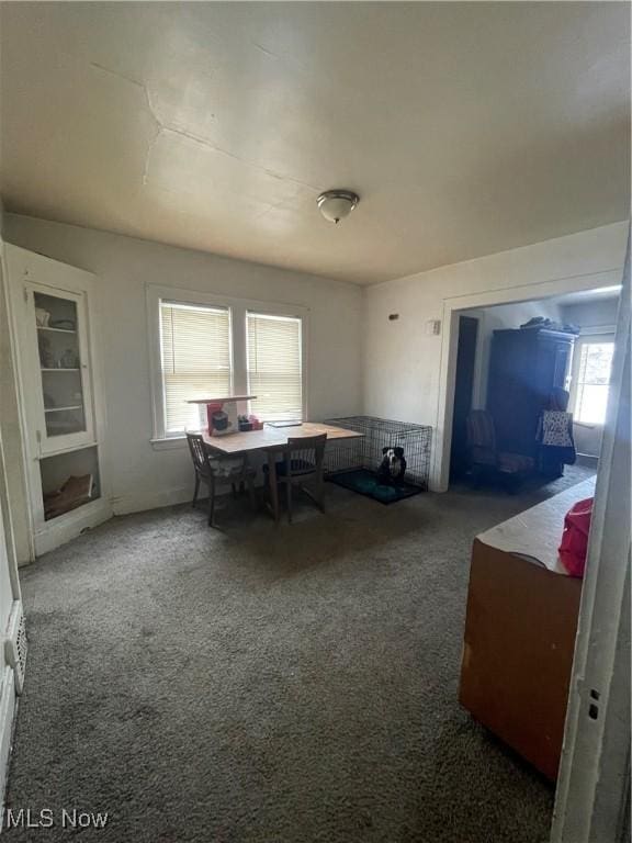 carpeted dining area featuring a wealth of natural light