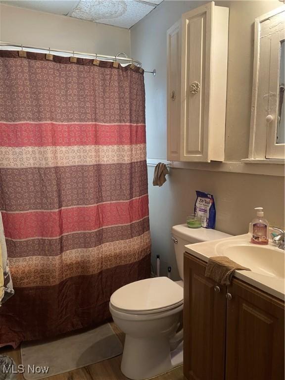 bathroom featuring hardwood / wood-style flooring, toilet, and vanity