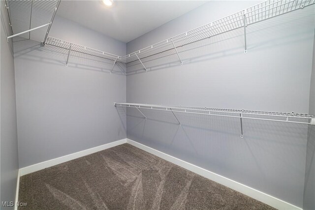 spacious closet with carpet