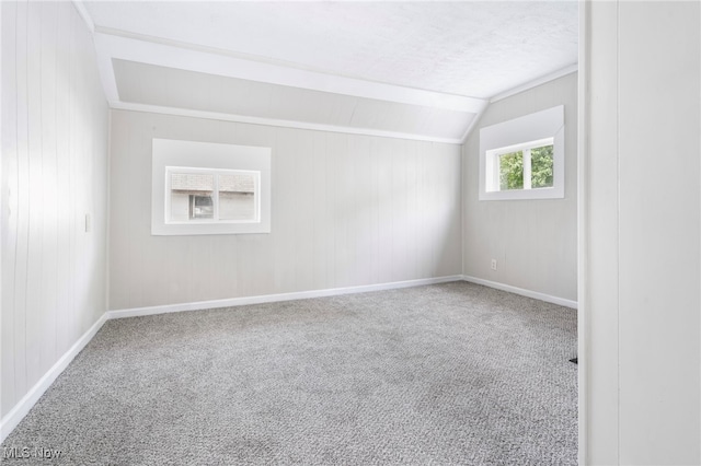 empty room with vaulted ceiling, carpet, and a textured ceiling