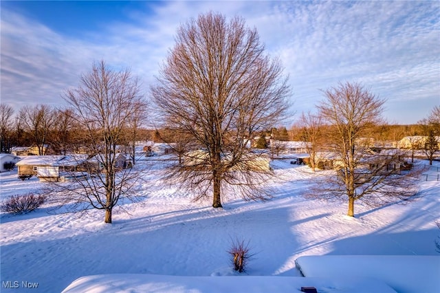 view of yard layered in snow