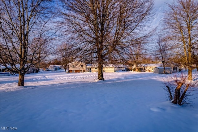 view of yard covered in snow