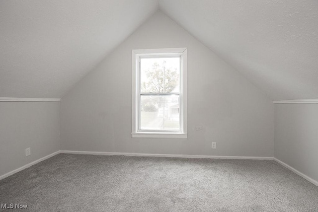 additional living space featuring lofted ceiling, a textured ceiling, and carpet