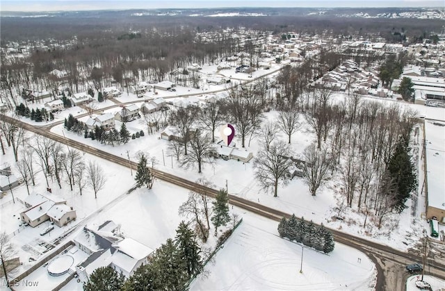 view of snowy aerial view