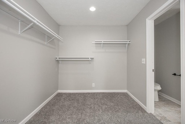 walk in closet with carpet