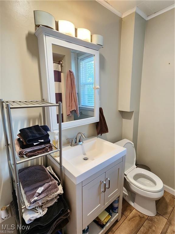 bathroom featuring vanity, toilet, and crown molding