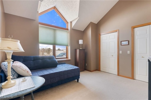 sitting room with carpet flooring and lofted ceiling