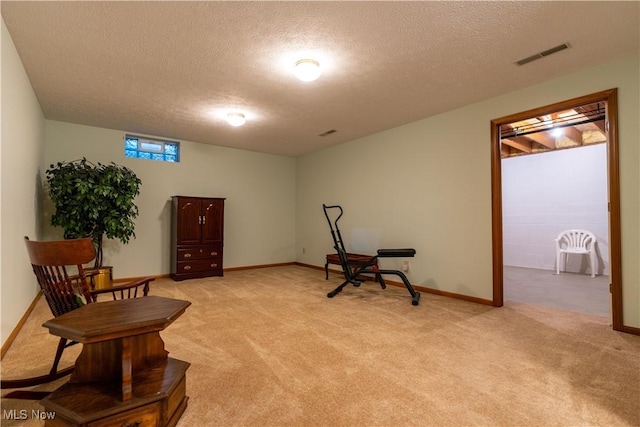 sitting room with a textured ceiling and light carpet