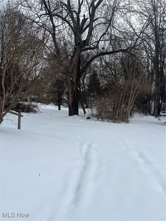 view of yard covered in snow