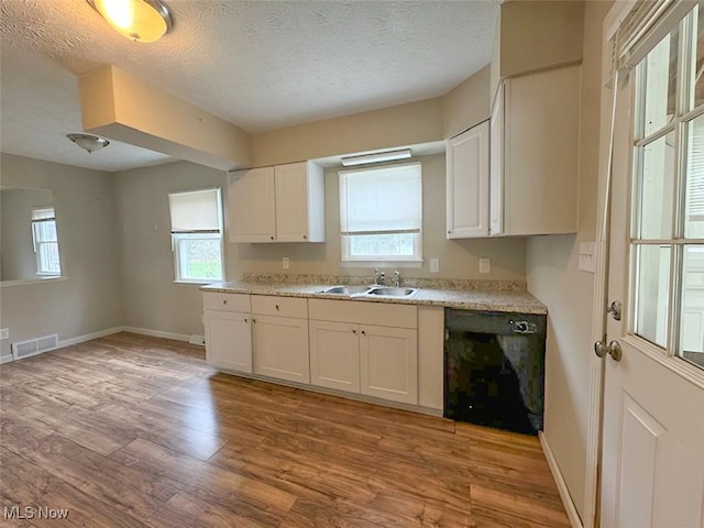 kitchen with white cabinetry, dishwasher, and a textured ceiling