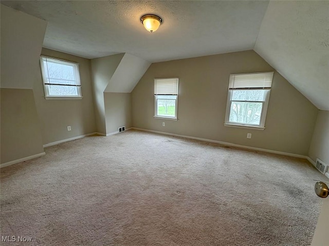 additional living space featuring vaulted ceiling, light colored carpet, and a textured ceiling