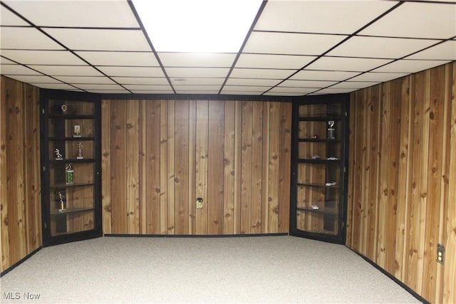 basement featuring wood walls and carpet flooring