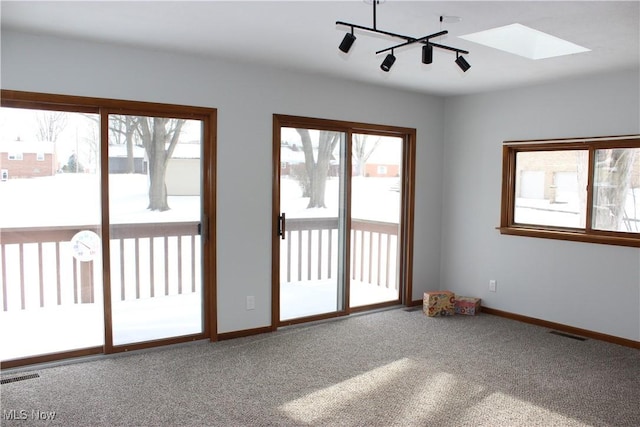 empty room featuring carpet flooring and a skylight