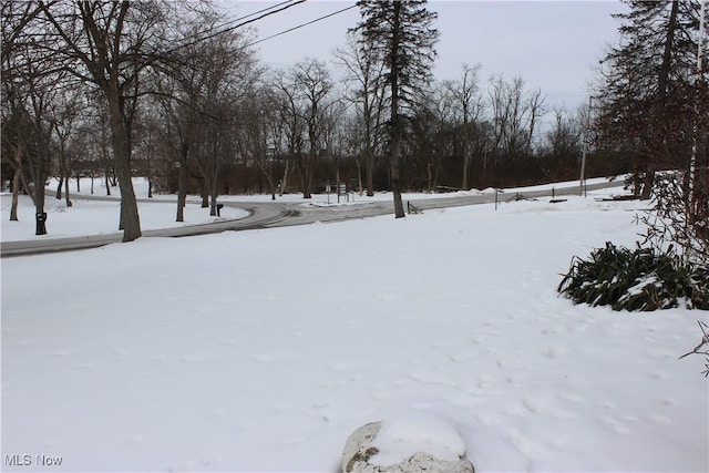 view of yard covered in snow