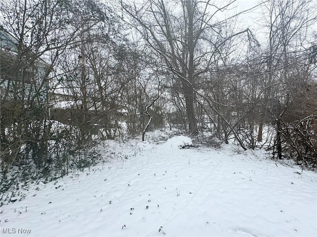 view of snowy landscape