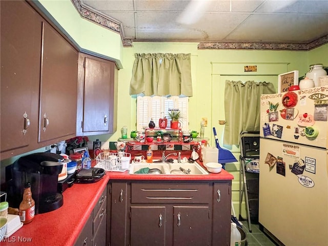 kitchen with sink, white refrigerator, a drop ceiling, and dark brown cabinets