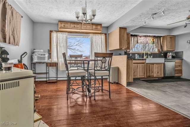 kitchen with radiator heating unit, stainless steel dishwasher, dark wood-type flooring, a textured ceiling, and a chandelier