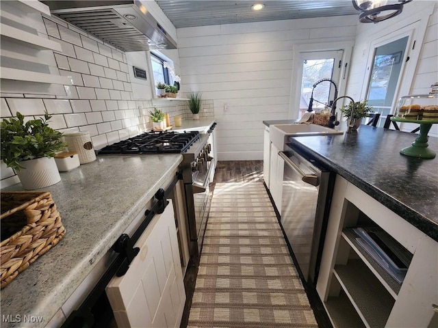 kitchen with appliances with stainless steel finishes, sink, exhaust hood, wood walls, and decorative backsplash