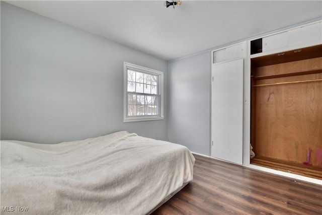 bedroom featuring a closet and dark wood-type flooring