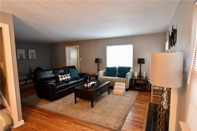 living room featuring hardwood / wood-style flooring