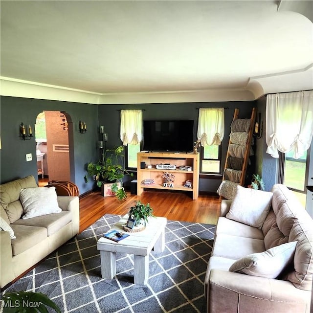 living room featuring hardwood / wood-style floors