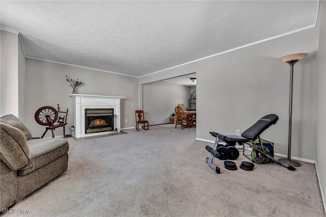 interior space featuring crown molding, a textured ceiling, and carpet