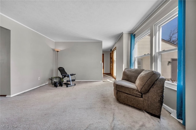 living area featuring crown molding, light carpet, and a textured ceiling