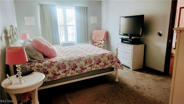 bedroom with carpet floors