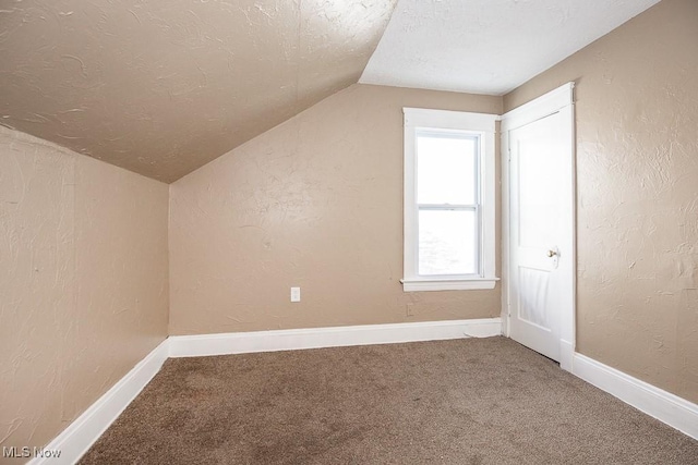 additional living space featuring carpet, a textured ceiling, and lofted ceiling