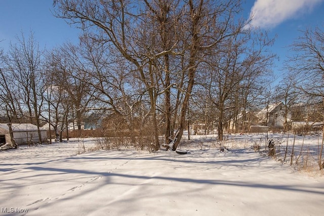 view of yard layered in snow