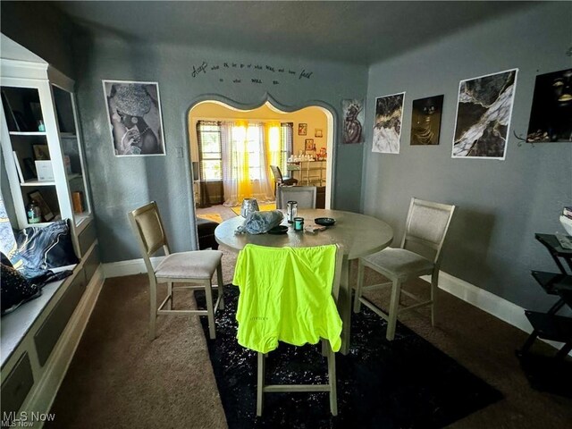 dining room featuring carpet floors