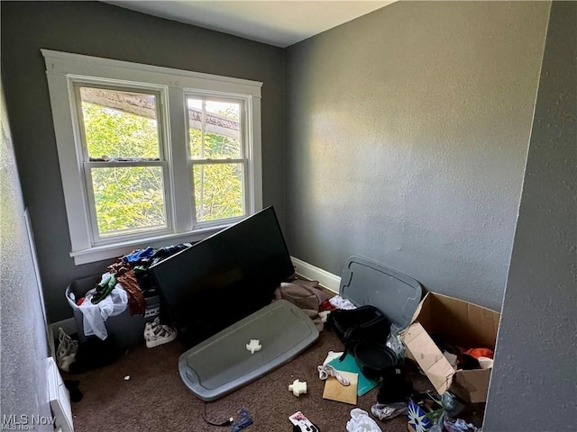 interior space featuring carpet flooring