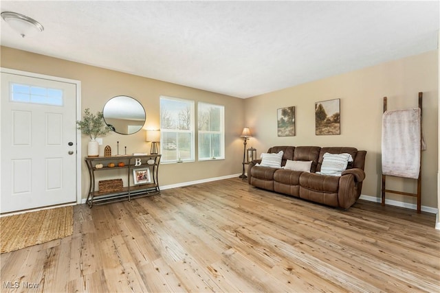 living room featuring hardwood / wood-style flooring