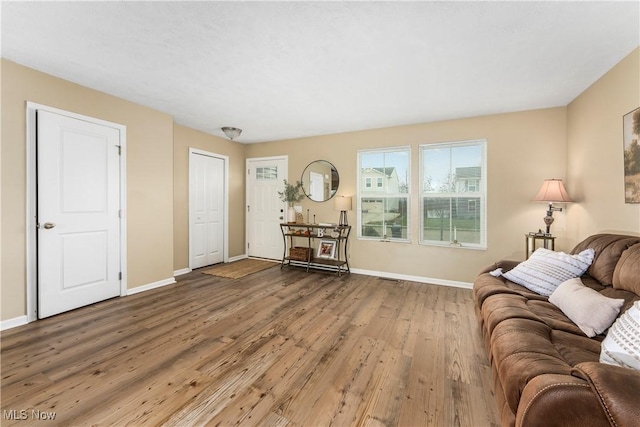 living room with hardwood / wood-style flooring