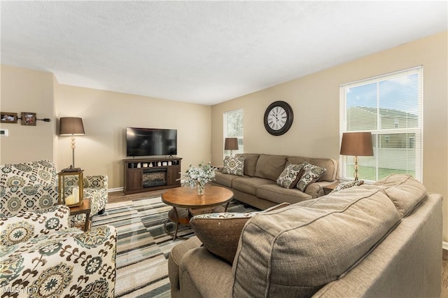 living room featuring hardwood / wood-style flooring