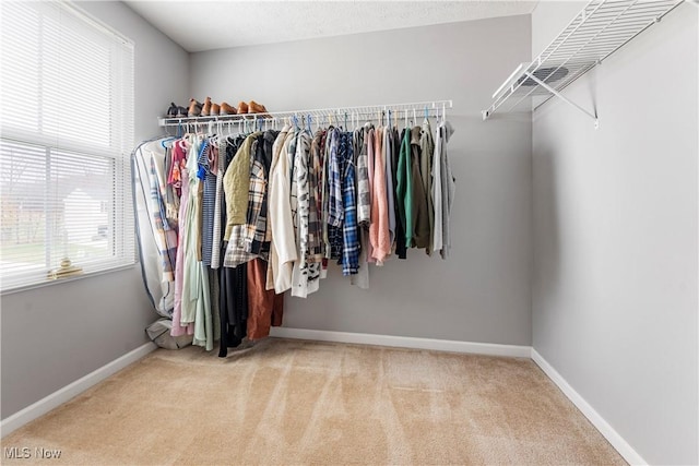 spacious closet featuring light colored carpet