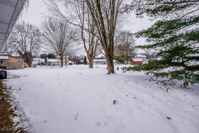 view of snowy yard